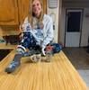 amanda_bandy